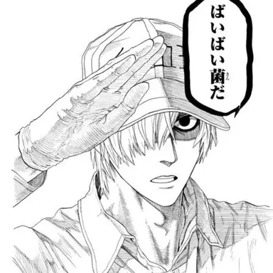 Profile image of 白血球