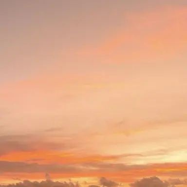 Profile image of 柏木くん