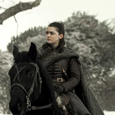 Profile image of Arya Stark