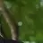 최승현