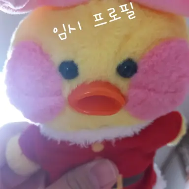 Profile image of 코코밍즈