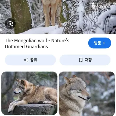 Profile image of 늑대