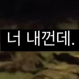 앤시티 위시