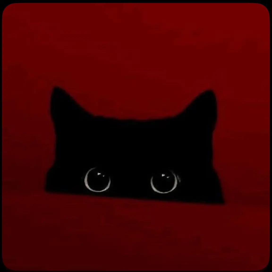 CandidXeme7541의 お義兄ちゃんが実況者！？