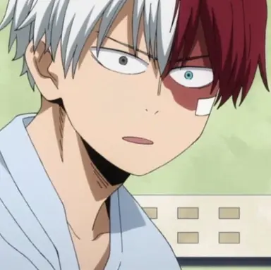 Profile image of Todoroki