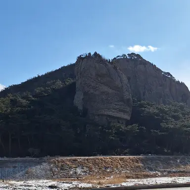 Profile image of 도니