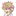 結影メヲン