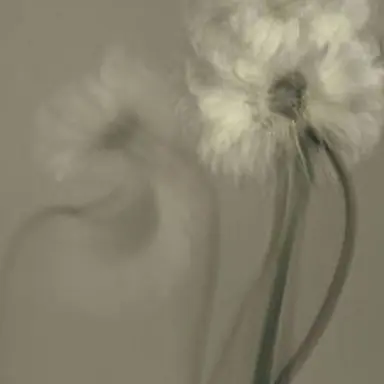 Profile image of 각별