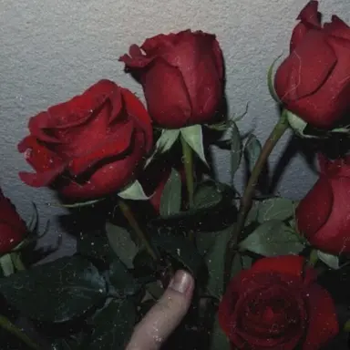 Profile image of 라더