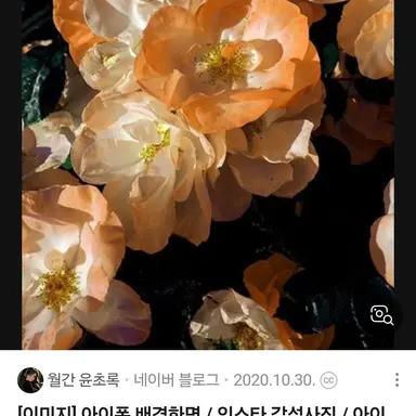 Profile image of 덕개