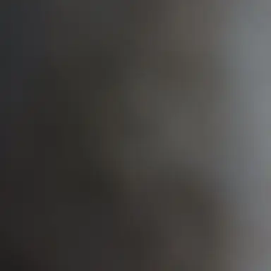 Profile image of 박시훈