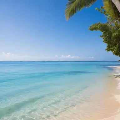 Profile image of プラグマビーチ