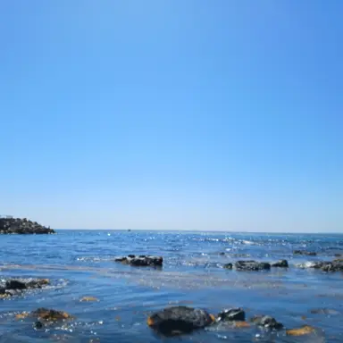Profile image of 赤葦 京治