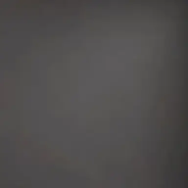 Profile image of 최승현