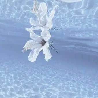 Profile image of 여학생들