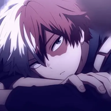 Profile image of Shoto Todoroki