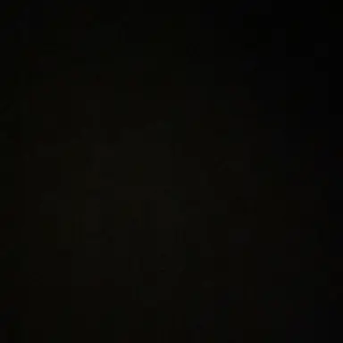 Profile image of 고고프렌즈