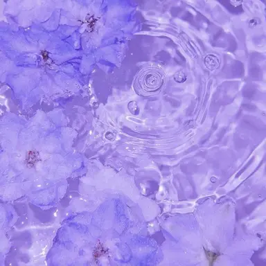 Profile image of 멜로우