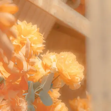 Profile image of 준브레드