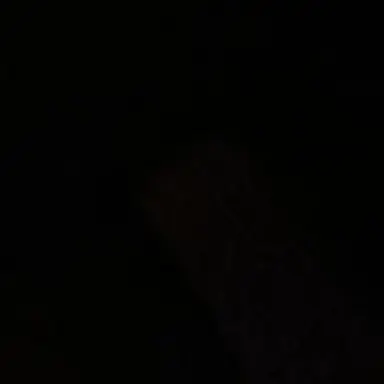 Profile image of ジュフン