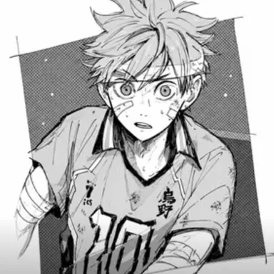 Profile image of 日向 翔陽