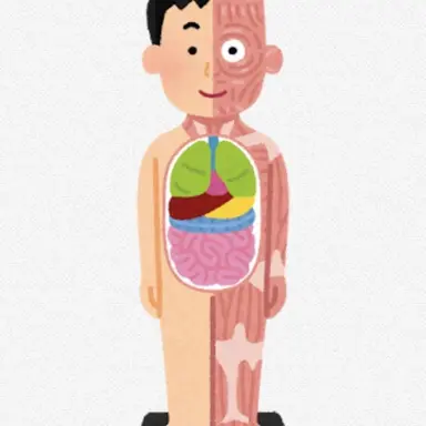 Profile image of 理科室の人体模型