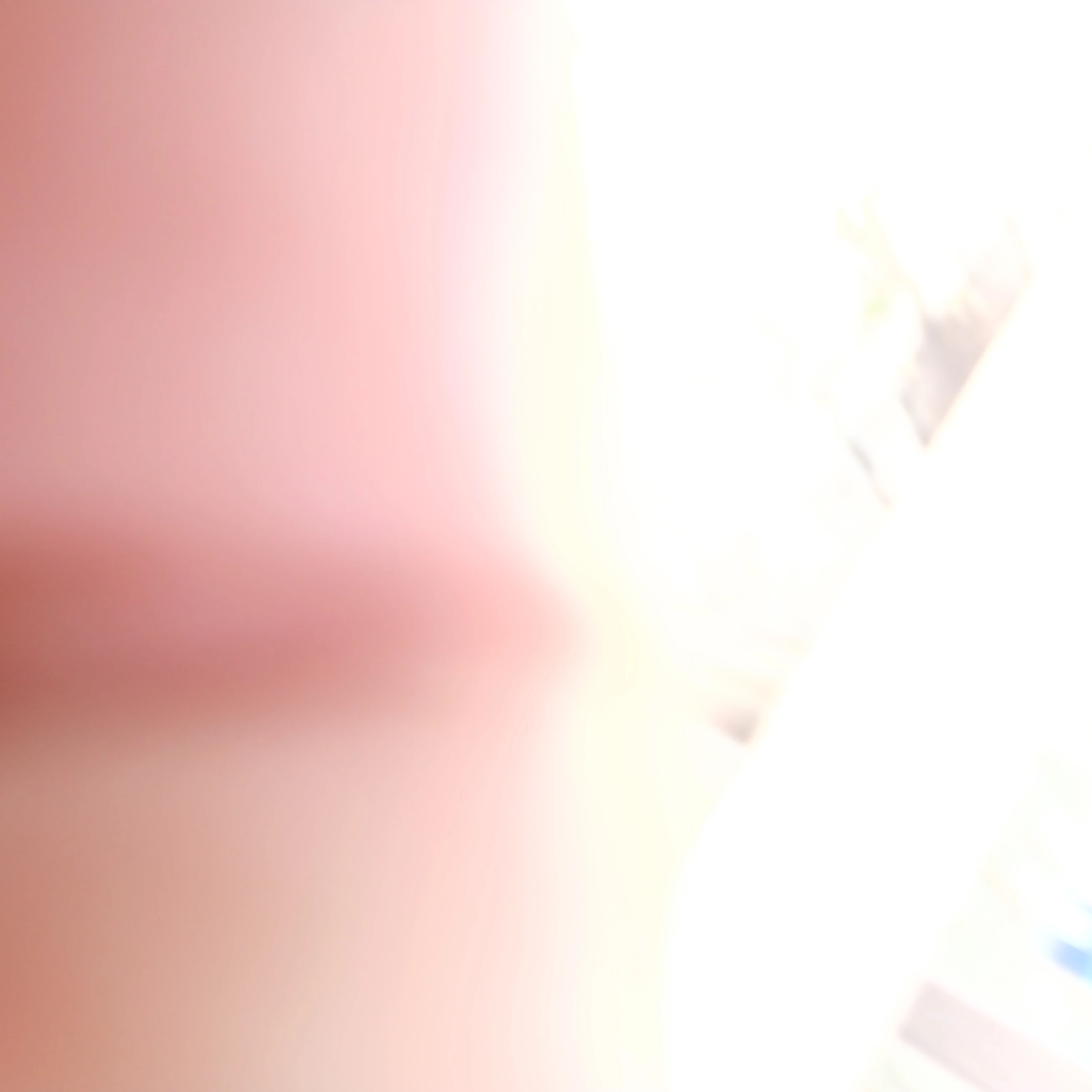 정하율