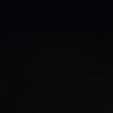 Profile image of 신유