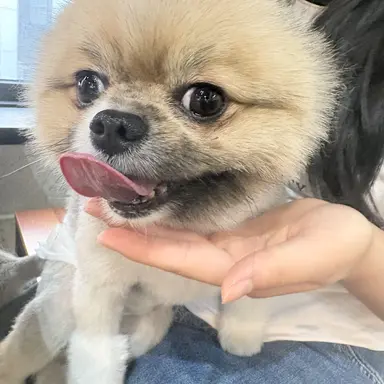 Profile image of 아빠