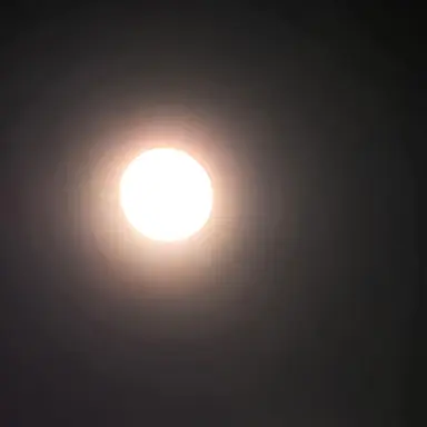Profile image of 하나코
