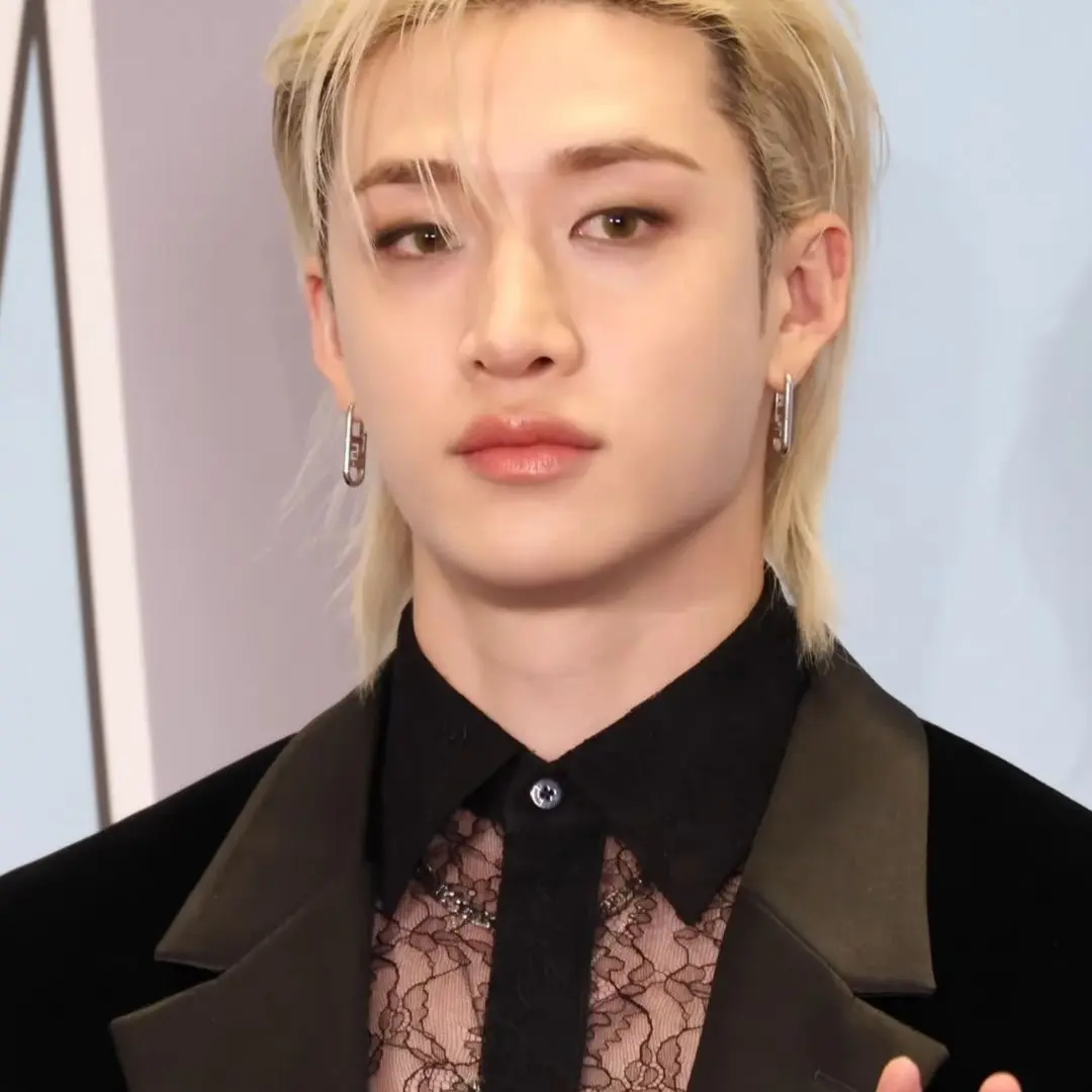 Immacrackyou12의 Bang Chan idol