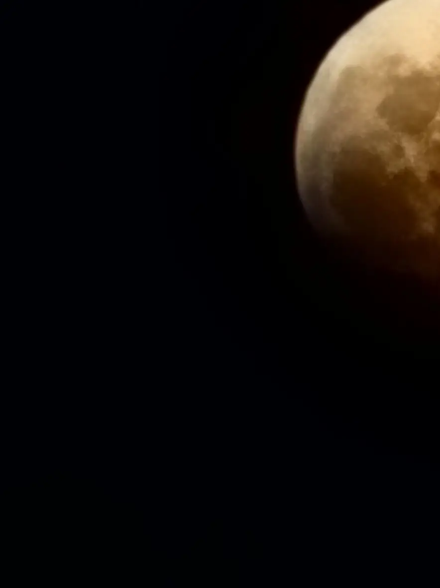 REYI_0819의 설표수인 나루미