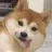 모찌