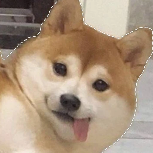 모찌