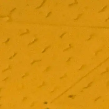 Profile image of 로베
