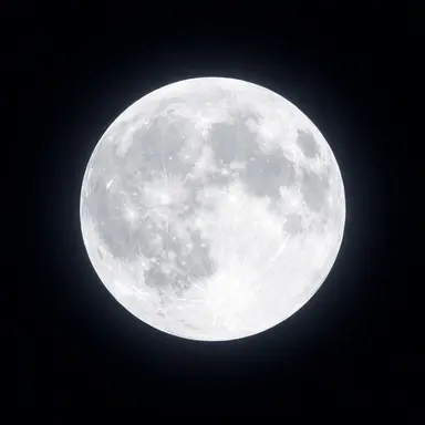Profile image of 화이트-초월한-