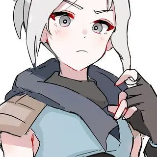 SpikyFlag6636의 제트 체포 작전