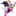 루즈
