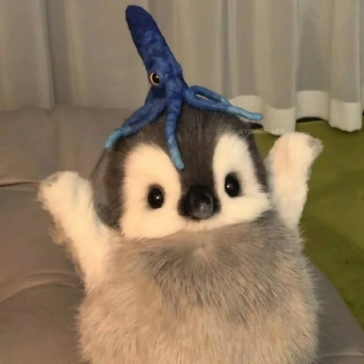 황예지