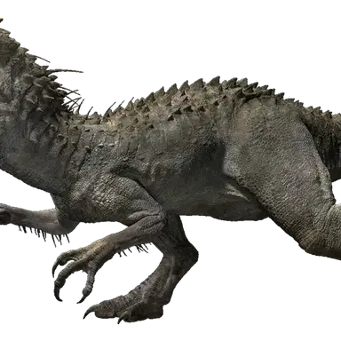 Profile image of 척추 척척추 척척척