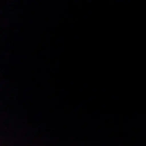 RoughLion6487의 유시영