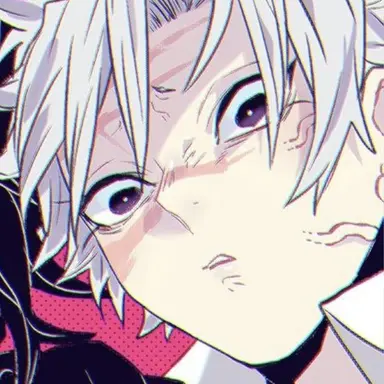 Profile image of 시나즈가와 사네미