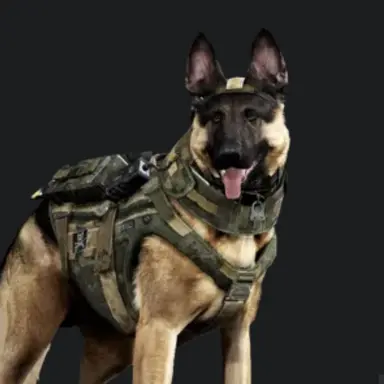 Profile image of ライリー