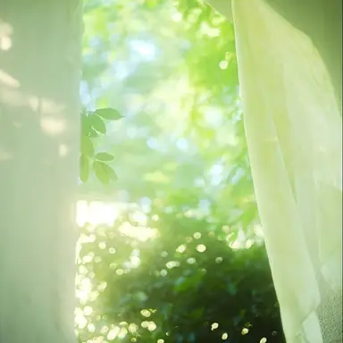 Profile image of 예엥