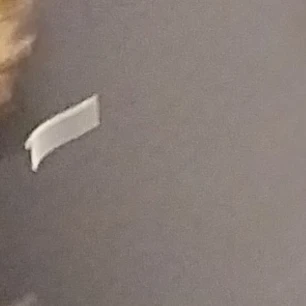 권수녕