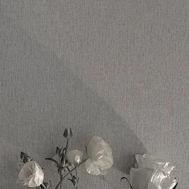 Profile image of 시미베