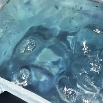 Profile image of 파이브