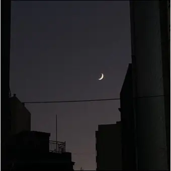 Profile image of 우융