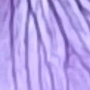 Profile image of 평학