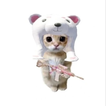 고먀미